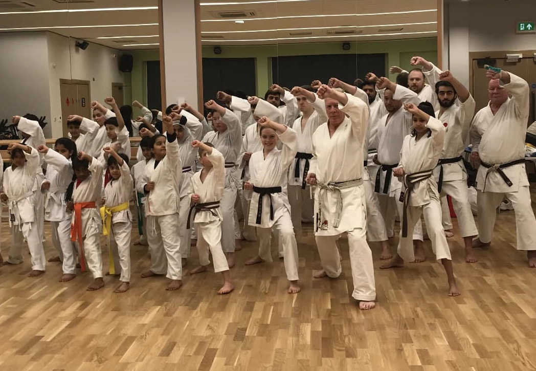 The whole karate club poses in a karate stance and making an age-uke overhead block synchronised.